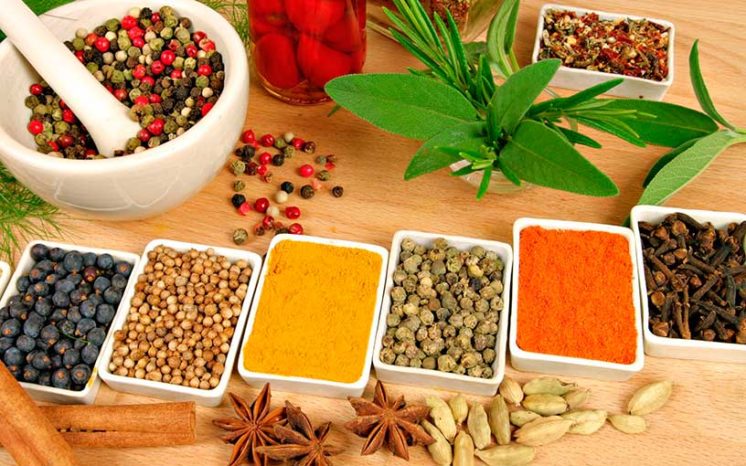 Раздельное питание по Хэю и Шелтону. В чем отличия? Раздельное питание по Хэю и Шелтону