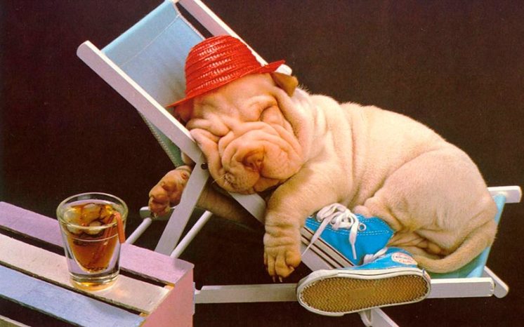 Новые препараты для лечения склероза Новые препараты для лечения склероза