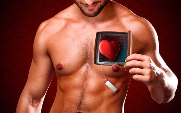 Сердечно-сосудистая система человека Сердечно-сосудистая система человека