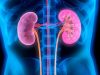 Заболевания почек: профилактика, диагностика, лечение