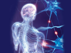 Лечение нервной системы: как правильно восстановить НС