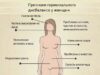 Обследование гормонального фона у женщин