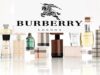 Богатый выбор духов Burberry и Сhloe на Озон