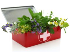 Полезные растения, что всегда под рукой