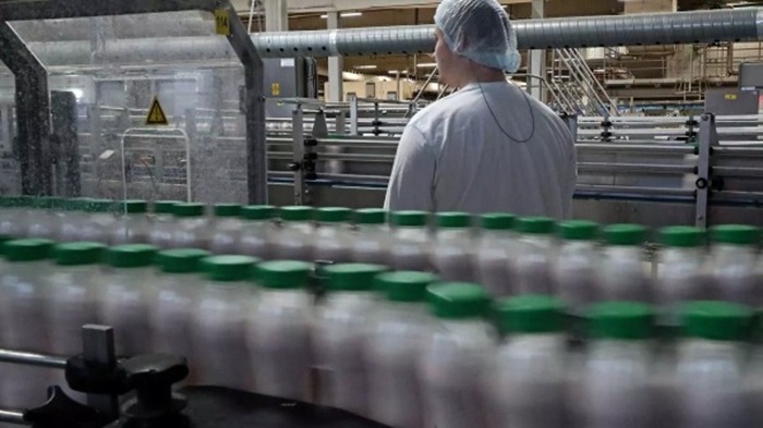 Почему добавка "мясной клей" запрещена в России и как она попадает в продукты