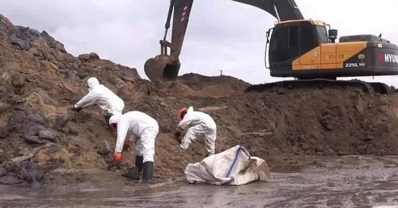"Море когда-нибудь очистится": соберут ли мазут до лета