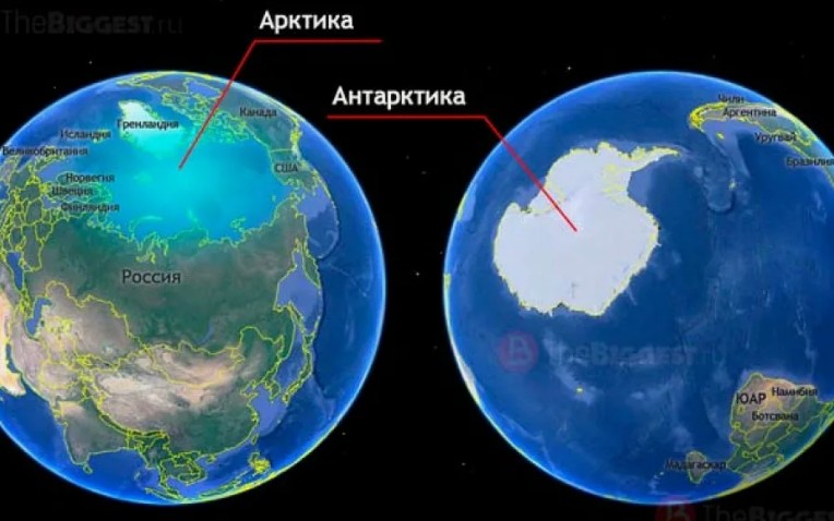 Арктика и Антарктика: как различить