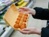 6 признаков, что куриные яйца вредят здоровью и фигуре, перечислил профессор Джозеф