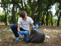 Образование и саморазвитие — хорошо. Но что с экологическим сознанием граждан?
