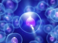 Сибирские ученые сделали открытие для успешного ЭКО