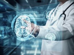 Ученые из России и Китая нашли способ продлить молодость мозга