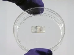 Ученые создали пластырь для сердца, который помогает восстановиться после тяжелого инфаркта