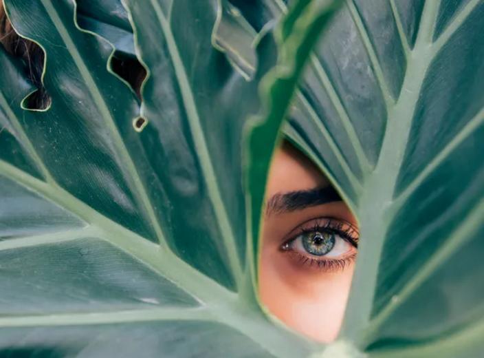 Устали от сложных технологий: почему людей все больше тянет к природе