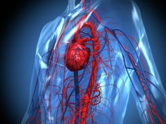 В России создан безопасный способ выявлять болезни сердца и сосудов