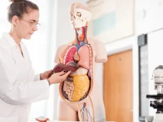 Как подготовить печень к новогодним праздникам, рассказала гепатолог Заботина