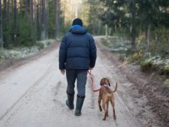 Кто если не мы? Помогать животным важно — для человека прежде всего