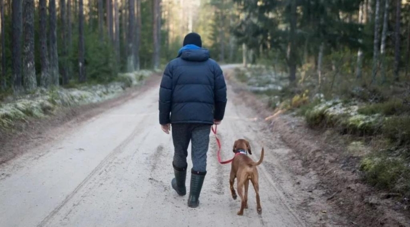 Кто если не мы? Помогать животным важно - для человека прежде всего