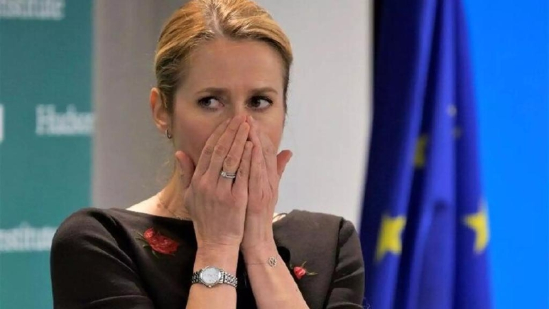 Обыски в сердце дипломатии ЕС: громкий скандал в Брюсселе и Брюгге