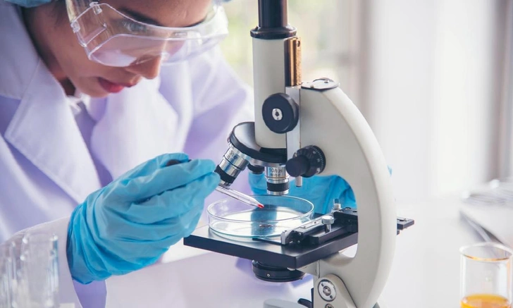 Ученые JAIST проверили на мышах новый способ лечения рака с помощью лягушек