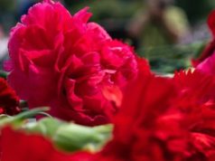 Вспоминаем военных корреспондентов: более 30 военкоров погибли с 2014 года