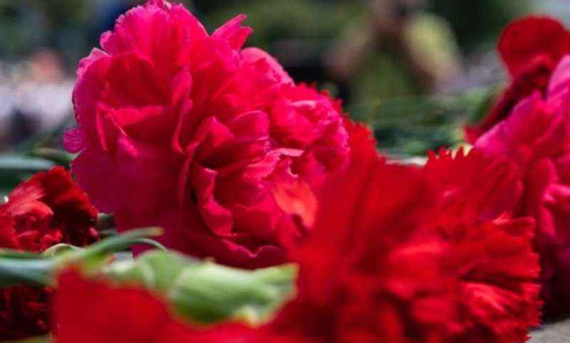 Вспоминаем военных корреспондентов: более 30 военкоров погибли с 2014 года