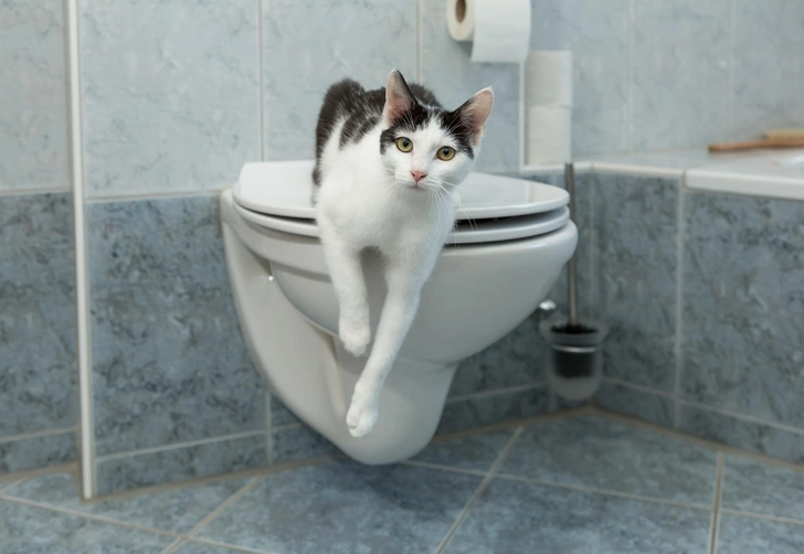 Если в стуле появилась слизь: когда это норма и в каком случае&nbsp;надо идти к врачу