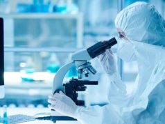 Сообщение о росте заболеваемости «мышиной лихорадкой» опровергли: что на самом деле происходит