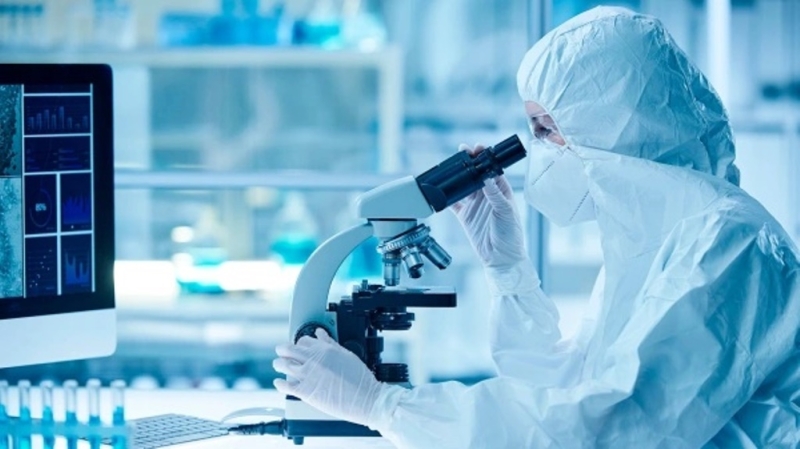 Сообщение о росте заболеваемости &laquo;мышиной лихорадкой&raquo; опровергли: что на самом деле происходит