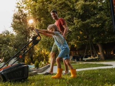 Деревья или газон: какой вариант озеленения полезнее для сердца