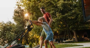 Деревья или газон: какой вариант озеленения полезнее для сердца