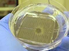 В Петербурге создали прибор для диагностики рака и быстрого старения