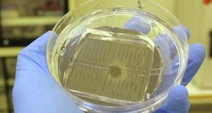 В Петербурге создали прибор для диагностики рака и быстрого старения