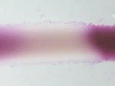 В России создали искусственную «мышечную ткань»