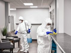 Дезинфекция в Петербурге: современные технологии и честный подход