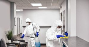 Дезинфекция в Петербурге: современные технологии и честный подход