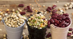 Белая, красная или стручковая: какая фасоль полезнее для здоровья