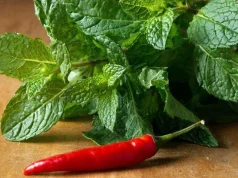 Что будет, если смешать мяту и перец чили: обнаружена неожиданная польза такого сочетания