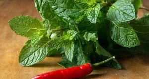 Что будет, если смешать мяту и перец чили: обнаружена неожиданная польза такого сочетания