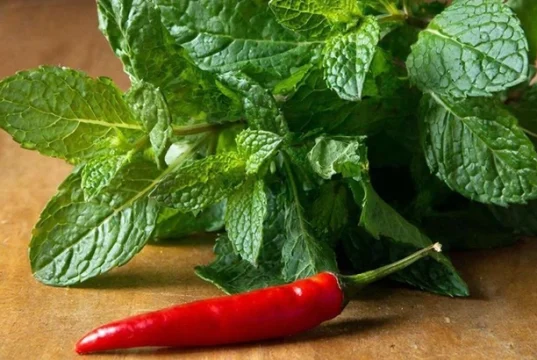 Что будет, если смешать мяту и перец чили: обнаружена неожиданная польза такого сочетания