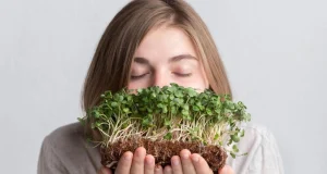 Не просто малыш-шпинат: биохимик составила рейтинг полезной микрозелени и дикоросов