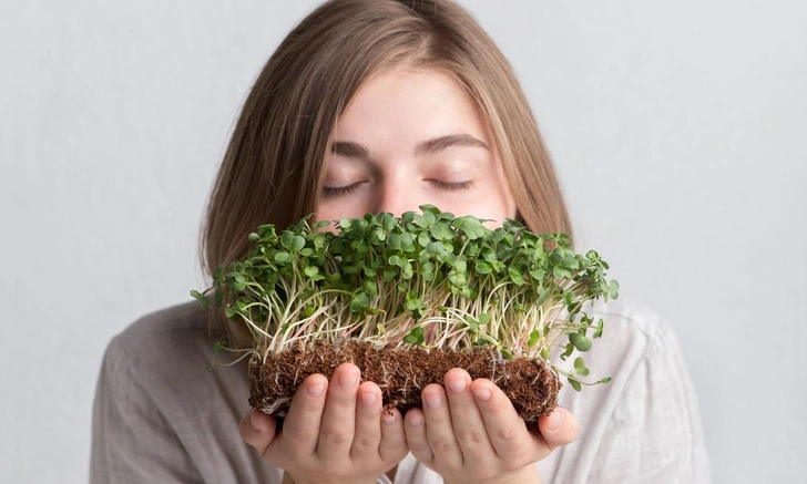 Не просто малыш-шпинат: биохимик составила рейтинг полезной микрозелени и дикоросов