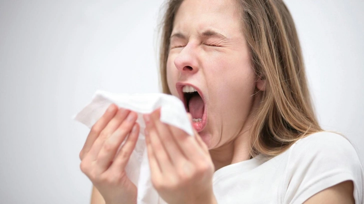 Почему при чихании сводит живот и как чихать, чтобы не сводило, объяснил врач Барбакадзе