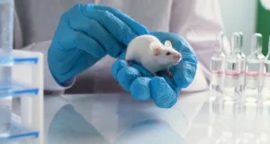 В Университете Фридриха-Александра оживили мозг мышей после тотальной заморозки