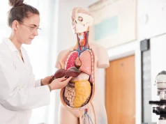 Если печень «устала»: что говорит наука о детокс-продуктах, меняющих организм