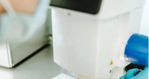 Отложенное материнство. Что это и как его спланировать