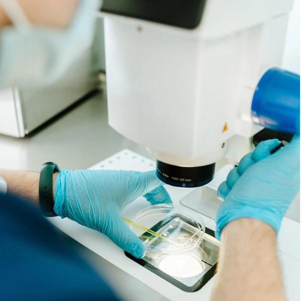 Отложенное материнство. Что это и как его спланировать