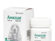 Антибиотики для собак при гастроэнтерите: когда они нужны и что важно знать владельцу