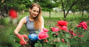 Хотите понять человека, посмотрите, что он сажает на даче: тест от психолога Верчиновой